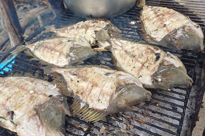Shared 10 Pax Boat Tour: Dolphin Watching, Snorkelling and BBQ - BBQ lunch plus flamed banana: more than a snack break