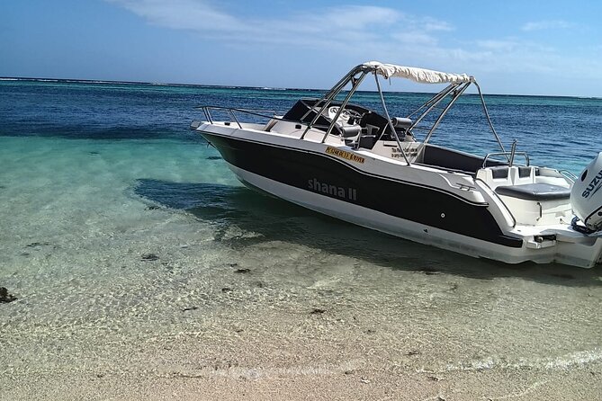 Shared 10 Pax Boat Tour: Dolphin Watching, Snorkelling and BBQ - Price and value: is $111.58 worth it?