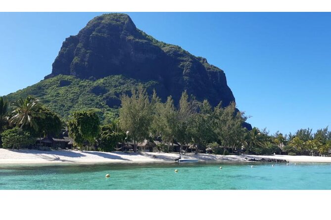 Signature Experience: Dolphins and Flavors of the Sea - Morning Start at St. Regis Le Morne, Then Right Onto the Water