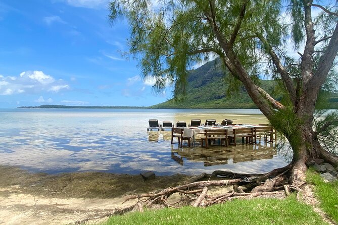 Signature Experience: Dolphins and Flavors of the Sea - Sea Urchin Fishing and Tasting: The Unexpected Food Chapter