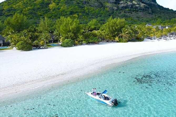 Signature Experience: Dolphins and Flavors of the Sea - Snorkeling Near Le Morne: Turtles, Dolphins, and Real Time in the Water