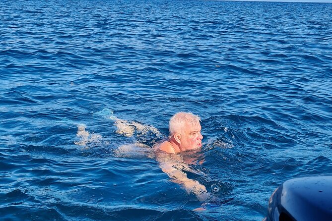 Snorkel with Dolphins, Lunch on Benitiers island, Speedboat - Who will enjoy dolphin snorkeling most, and who should think twice