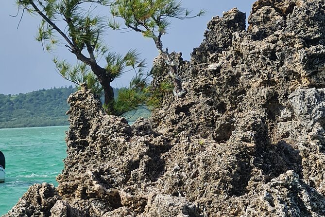 Snorkel with Dolphins, Lunch on Benitiers island, Speedboat - The short Tamarin beach stop, and the simple reason it helps