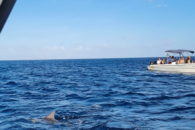 Snorkel with Dolphins, Lunch on Benitiers island, Speedboat - Stop 1: Tamarin Bay dolphins, snorkeling, and the crystal rock option