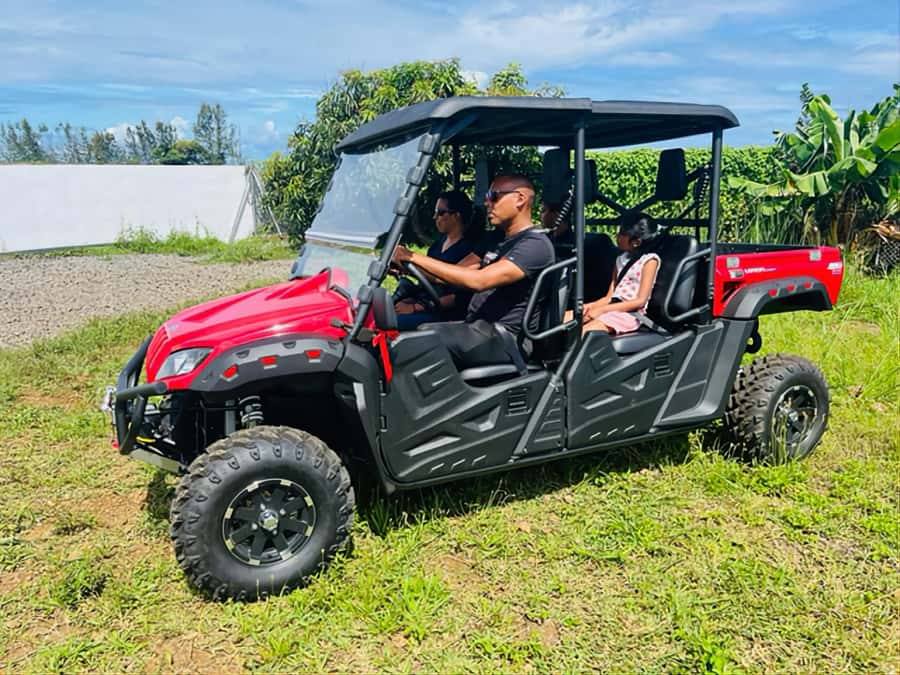 South Mauritius : Buggy Tour - Guides and guidance: English or French, but the focus can lean adrenaline