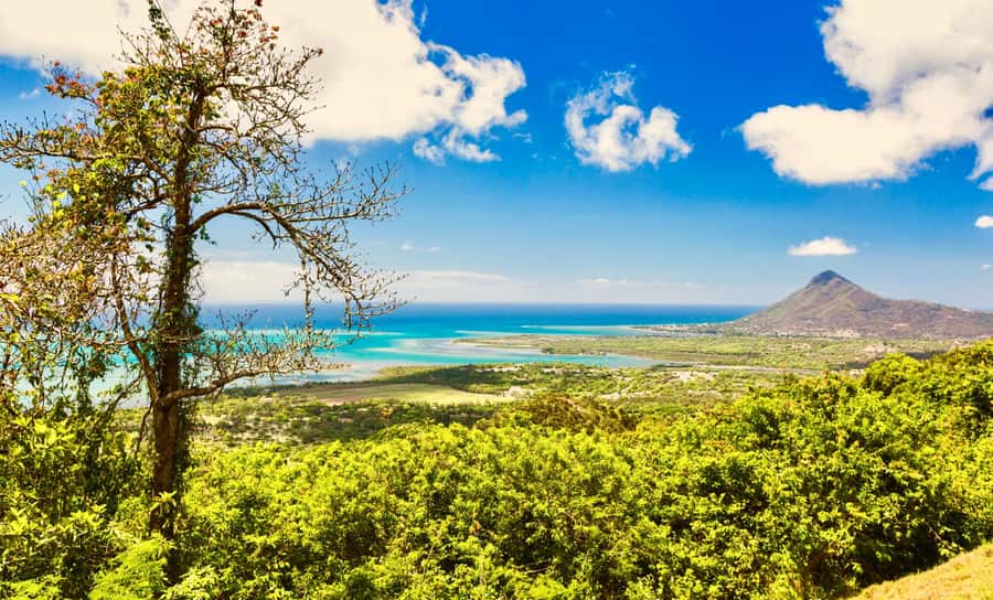 South of Mauritius : Full day Private with lunch & Chamarel - Chamarel Coloured Earth and the Waterfall Stop You’ll Want to Slow Down For