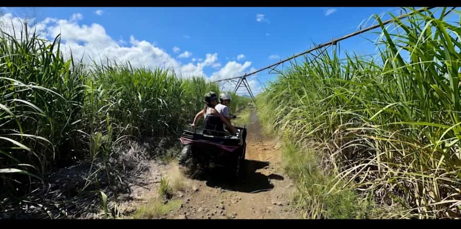 South of Mauritius: Quad Bike Tour - Sugarcane trails and dirt roads: why this part is more than adrenaline