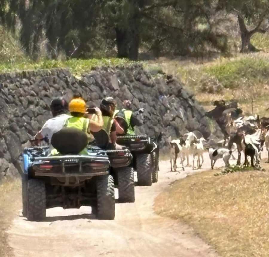 South of Mauritius: Quad Bike Tour - How much it costs, and whether it feels like value