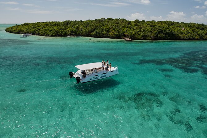 SouthEast Lagoon Discovery on shared basis on a Power Catamaran - Snorkeling Off Le Morne Brabant: Your Real Payoff