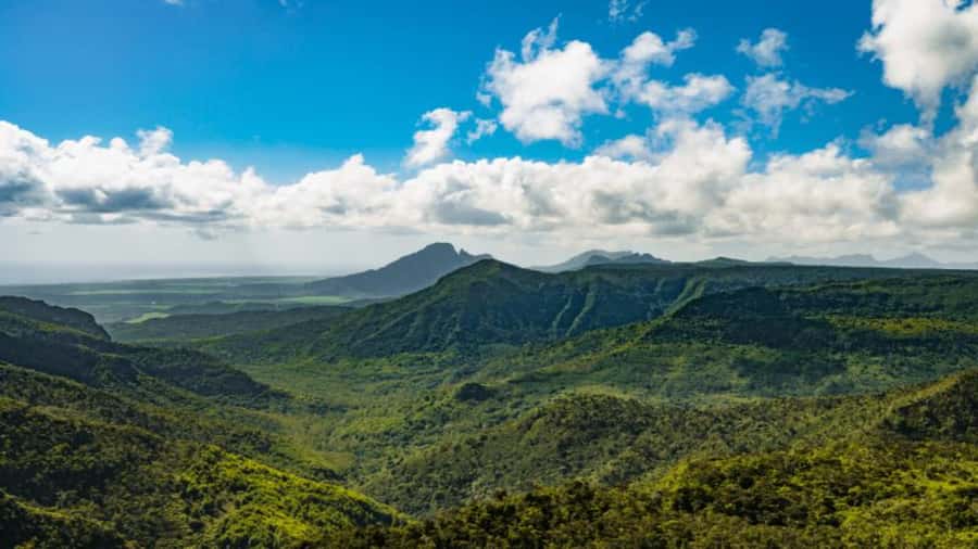 Southern Mauritius: Volcanoes & Coloured Earth - Black River Gorges National Park: a short rainforest walk with wildlife time