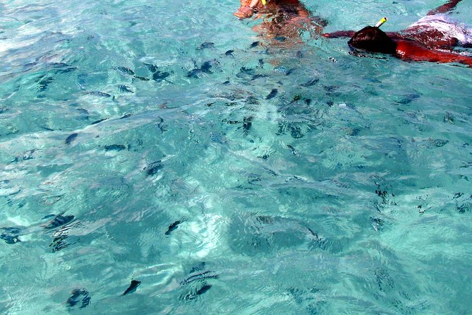 Spectacular Catamaran trip to Ile Aux Cerf with Lunch & Transfer - Snorkeling in Trou dEau Douce: where you should plan to get wet