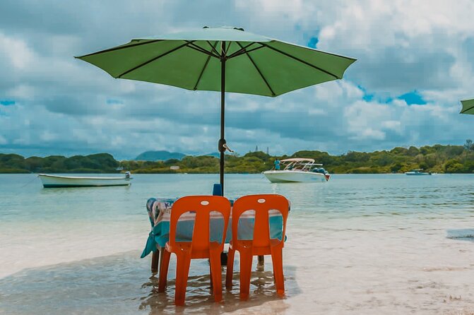 Speedboat Ile aux Cerfs + GRSE Waterfall, BBQ and Bar - Beach BBQ Lunch and Drinks: Why This Inclusion Matters