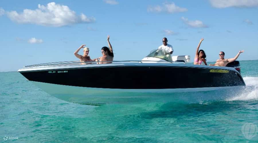 Speedboat to Ile aux Benitier: Dolphin Encounter & Lunch - The Big Picture: What This Day Trip Really Gives You