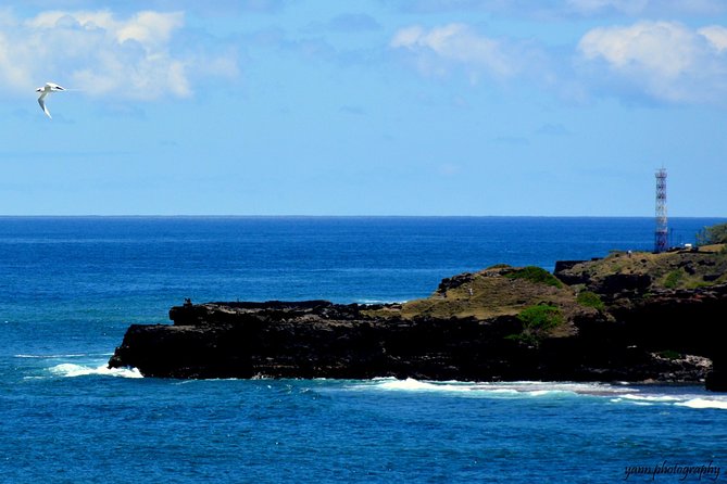 Sweet Scenic 30KM - The Secluded Waterfall Swim: The Moment You’ll Remember