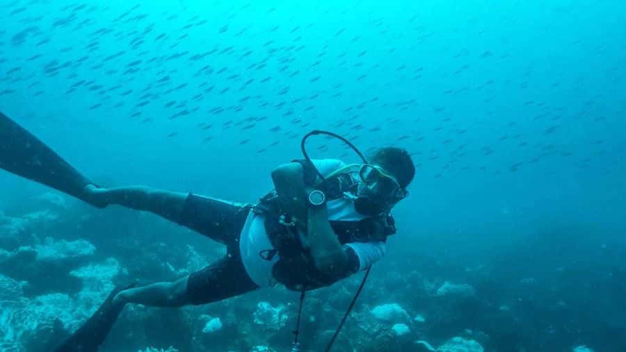 Tamarin Bay: Beginners Scuba Diving Experience - Key Highlights You’ll Actually Feel During the Morning
