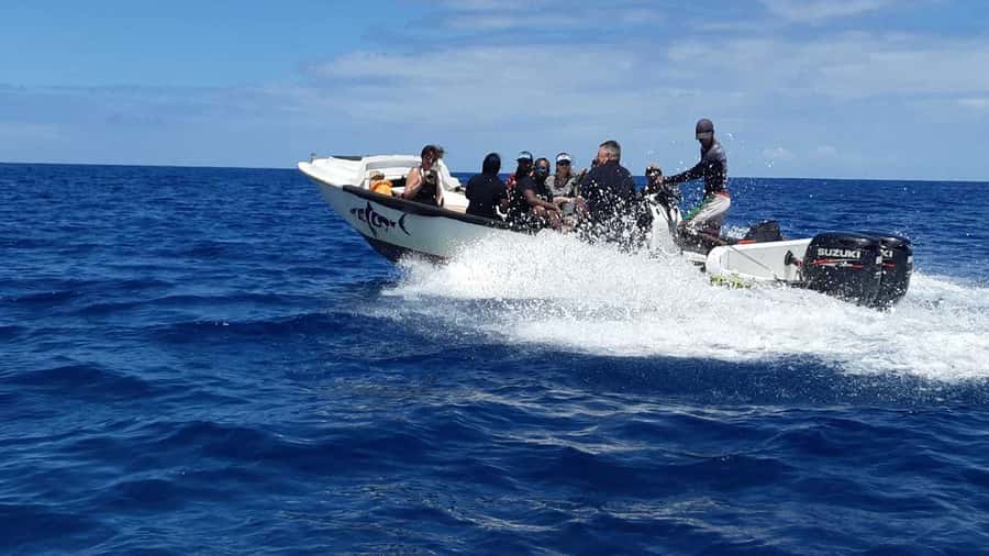 Tamarin Bay: Beginners Scuba Diving Experience - Where Tamarin Bay Fits on a Mauritius Itinerary