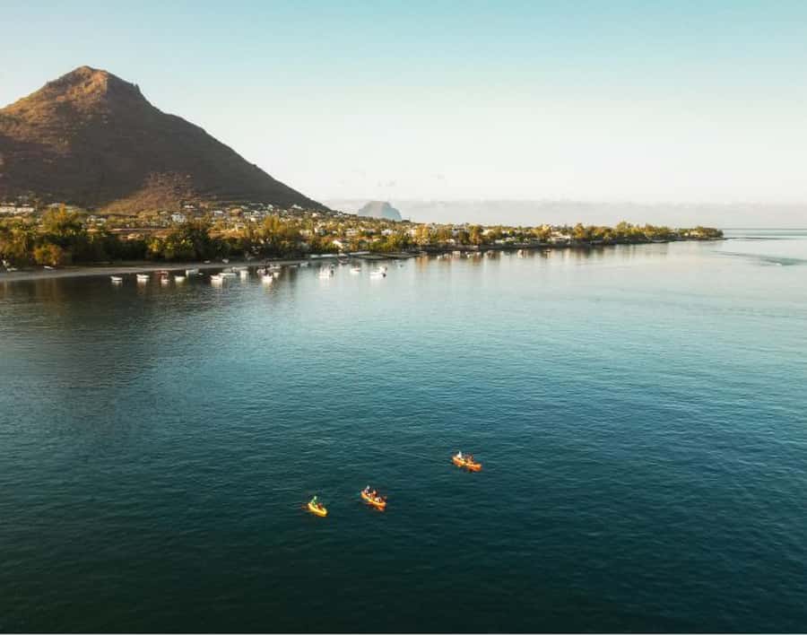 Tamarin: Guided Kayak Tour with Dolphins - Price and value: is $64 for a dolphin kayak tour actually fair?