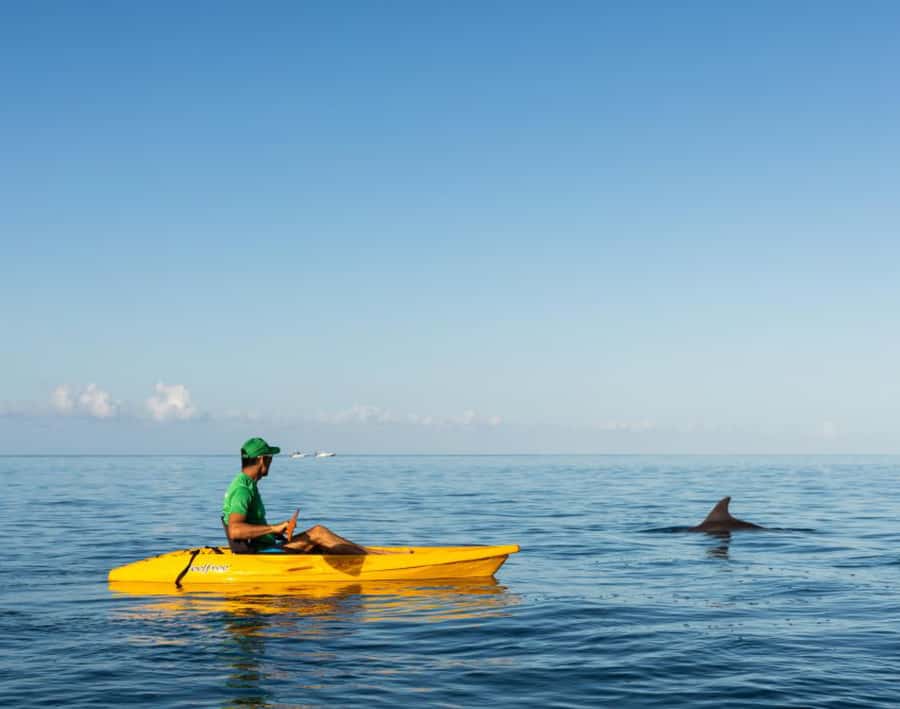 Tamarin: Guided Kayak Tour with Dolphins - Your 150-minute kayak flow, from meeting point to paddling the bay