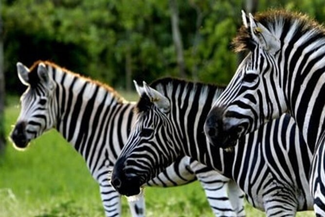 >>TAXI ONLY<< to la vallée des couleurs OR CASELA. - Optional add-ons: where you can spend extra if you want thrills