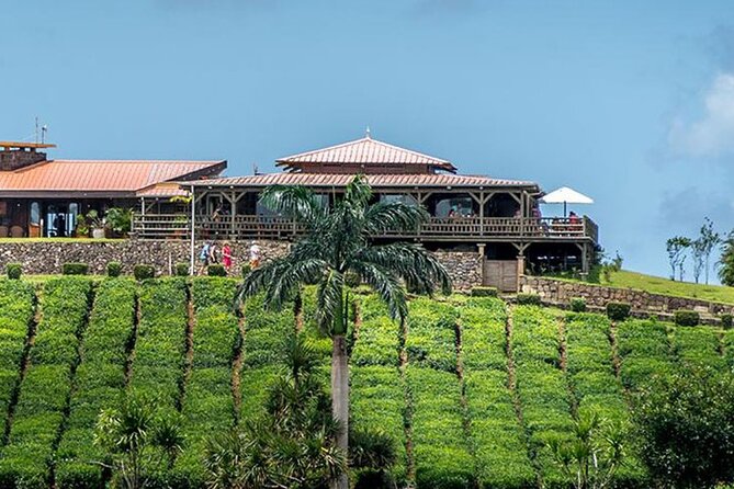 Tea Experience in the Exotic South of Mauritius Private tour. - Bois Cheri tea factory: the tasting experience built for tea lovers