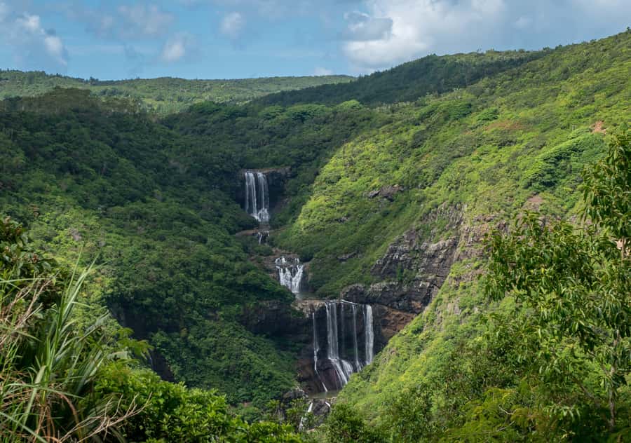 Tea Route: Lake, Forest, Tea Plantation & 3 Course Lunch - Mare aux Vacoas Reservoir and Sofie Nature Walk: the calm part of the route