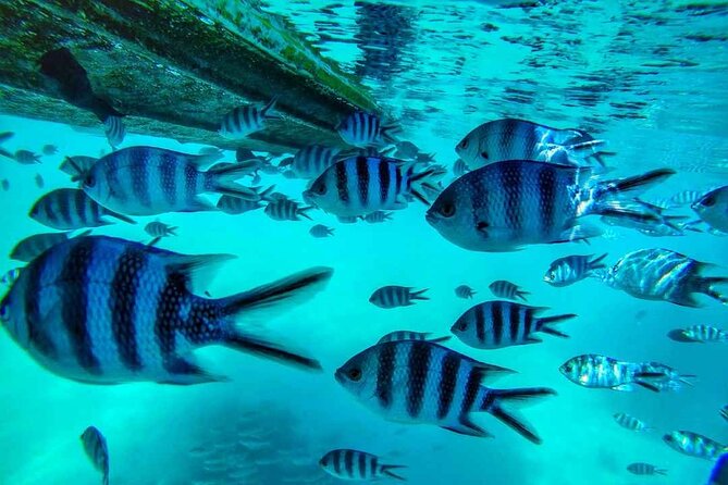 The beautiful East of Mauritius:incl Blue-Bay Marine Park, Crocodile park &Lunch - Why East Mauritius makes this tour feel different