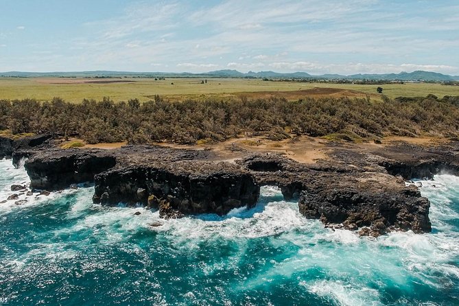 The Hidden Treasures of Mauritius, ALL INCLUSIVE Day Trip, Private SUV Car - Key highlights before you go