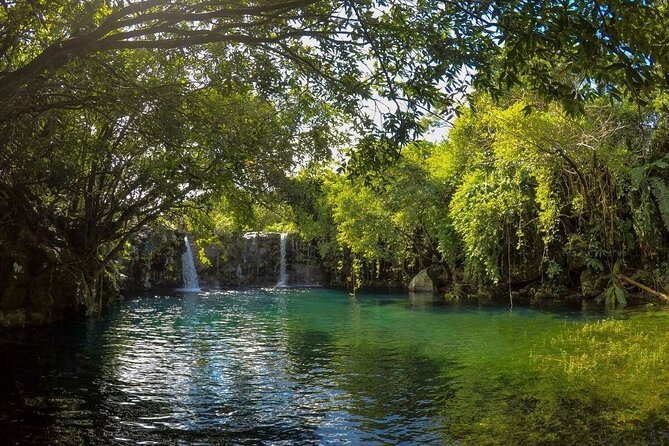 The Hidden Treasures of Mauritius, ALL INCLUSIVE Day Trip, Private SUV Car - Tookay Hindu Temple and Andrea Lodge lunch: culture plus a view