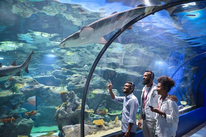 Ticket to the largest Oceanarium of the Mascarene Islands - Inside the Oceanarium: 45 habitats, 200 species, and big viewing water