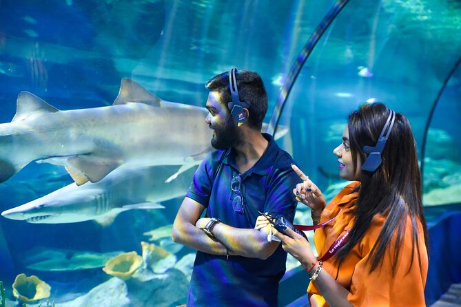 Ticket to the largest Oceanarium of the Mascarene Islands - Ticket value at $33.50: when this feels like a smart buy