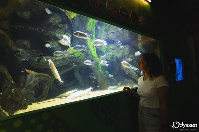 Ticket to the largest Oceanarium of the Mascarene Islands - What a smooth 1 to 2 hour visit feels like