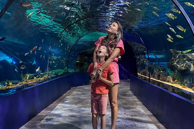 Ticket to the largest Oceanarium of the Mascarene Islands - Hours and day-of-week flexibility: fitting it into your Port Louis day