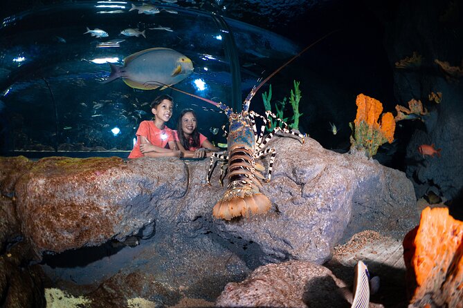 Ticket to the largest Oceanarium of the Mascarene Islands - Getting there: simple access from Port Louis