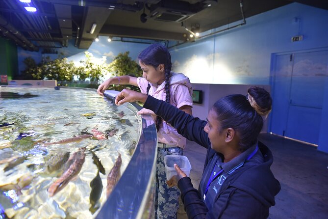 Ticket to the largest Oceanarium of the Mascarene Islands - Who this oceanarium is best for