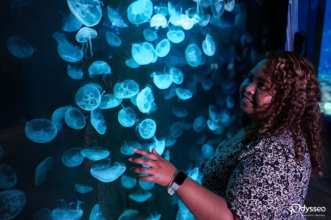Ticket to the largest Oceanarium of the Mascarene Islands - The conservation angle: why the learning part is worth your time