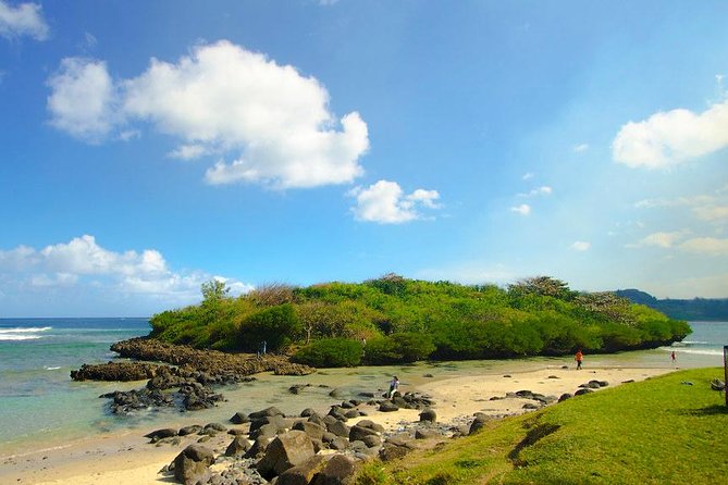 Tropical South West of Mauritius: Full-day All Inclusive tour (Visit to 3 parks) - Mare aux Vacoas Reservoir: a calm pause in thick forest