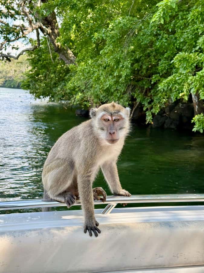 Trou D'Eau Douce: 5 island tour Mauritius with lunch/drinks - Key things you will enjoy on this Mauritius 5 Island Tour