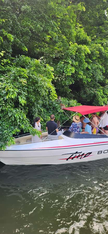 Trou D'Eau Douce: 5 island tour Mauritius with lunch/drinks - Fouquets Island and dolphin watching: fun, but short and weather-dependent