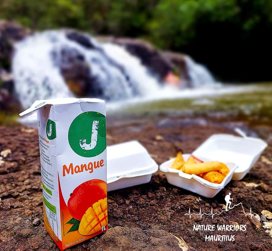 Vacoas-Phoenix: Private Hiking Tour to Tamarind Falls - Price and value: what $81 gets you in Mauritius time