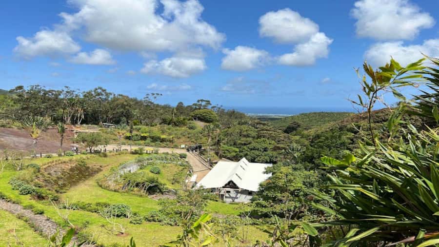 Valle Adventure Park Full Day - Wildlife Encounters, From Tortoises to the Pink Pigeon