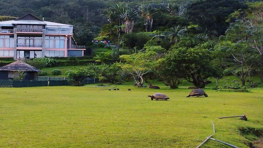 Valle Adventure Park Full Day - Price and Value for Up to 3 People