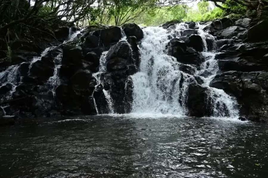 Valle Adventure Park Full Day - Should You Book This Full Day Trip?