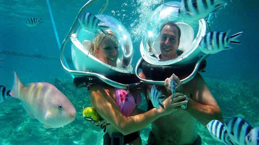 Walking under the sea in Mauritius with transfer - Fish feeding and coral walking, with photos that actually happen