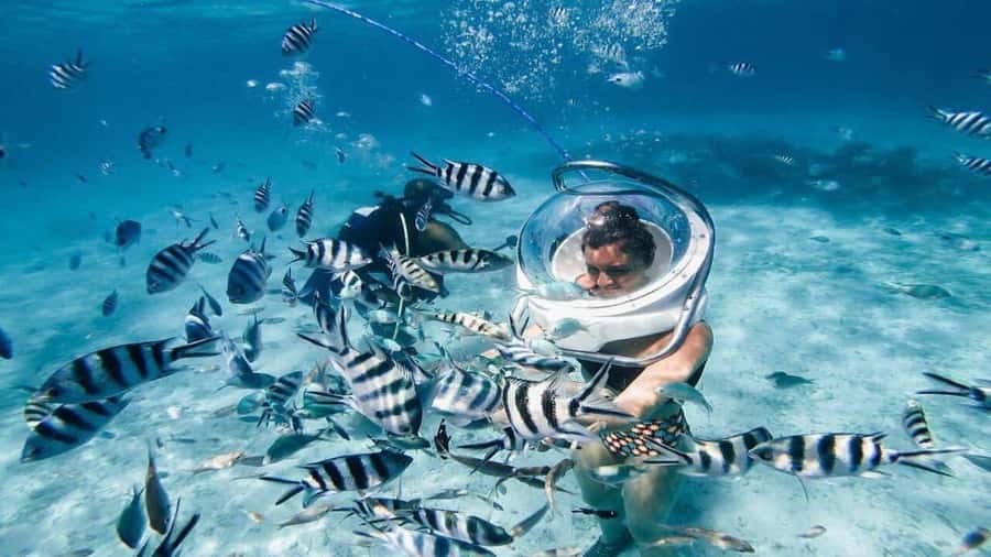 Walking under the sea in Mauritius with transfer - Transfers and timing: why the total 3 hours can feel longer
