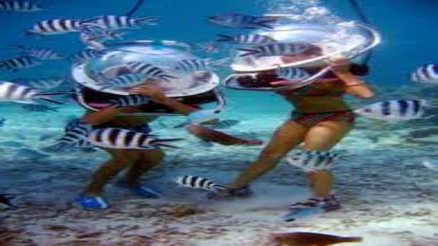 Walking under the sea in Mauritius with transfer - Price and value: is $170 per person worth it?
