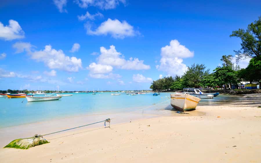 West: Swim wz dolphins, Crystal Rock, Lunch Benitiers island - Price and Value: Is $72 a Good Deal for West Mauritius?