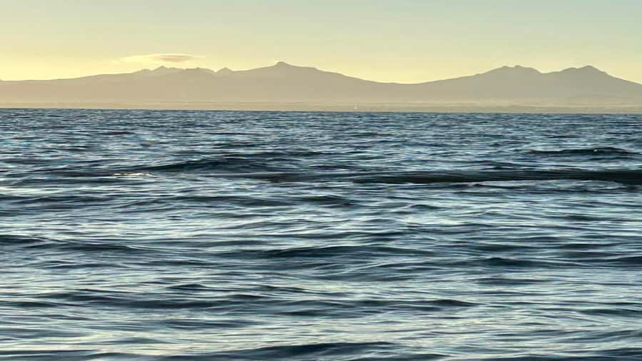 Whale & Dolphins Swimming - Private Speedboat Exclusive Tour - Safety, lifejackets, and how to protect your day