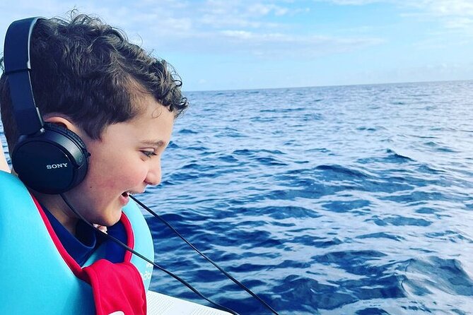 Whale Dream ltd - Whales watching and swim with dolphins - Whales you may see, and why you only watch (not swim)