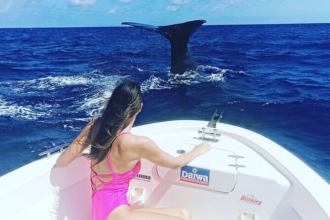 Whale Dream ltd - Whales watching and swim with dolphins - Price and value: $741.51 for up to 4 people