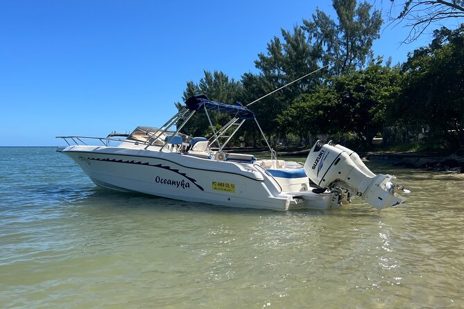 Whale Watching and Private Ocean Safari Experience in Mauritius - From Black River Bay to the Le Morne and Albion whale zone